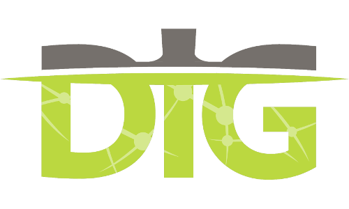 DIG Banner