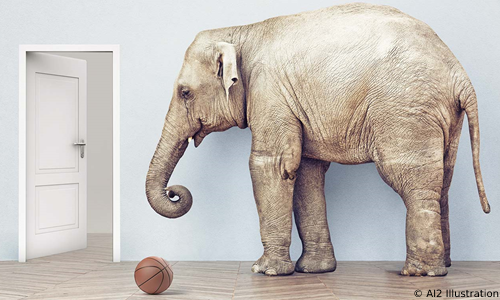 Elephant in a room with a basketball