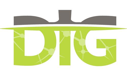 DIG banner